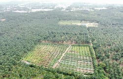 Sepang, Selangor 43800