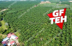 Pendang, Kedah 6720