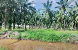 Kuala Selangor, Selangor 45600