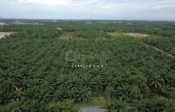 Telok Panglima Garang, Selangor 42500