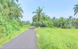 Sabak Bernam, Selangor 45300