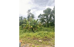 Kuala Langat, Selangor 42500
