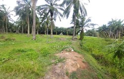 Banting, Selangor 42700