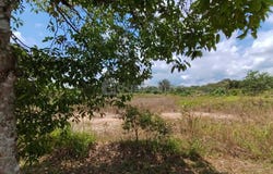 Iskandar Puteri (Nusajaya), Johor 79250
