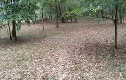 Jalan Putra Harmoni, Subang Jaya, Selangor 47100