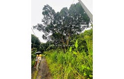 Selangor, Sepang, Selangor 0