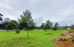 Kukup, Pontian, Johor 82300