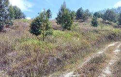 Raub, Pahang 26700