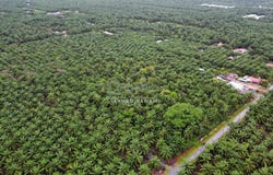 Tanjong Sepat, Selangor