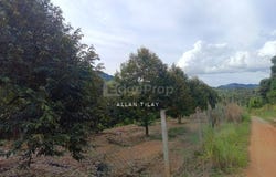 Hulu Perak, Perak