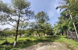 Ulu Tiram, Johor 81800