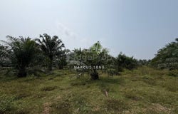 Kuala Kangsar, Perak 31100