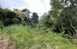 Kampung Nyior Paka, Dungun, Terengganu 23000