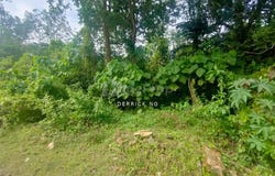 Kuala Muda, Kedah 08300