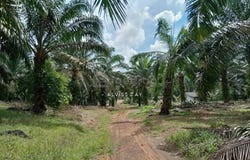 Kluang, Johor