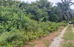 Taiping, Perak