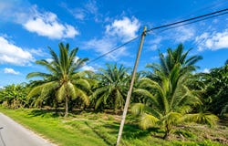 Kuala Selangor, Selangor 45500