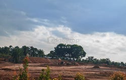 Iskandar Puteri, Johor 81550