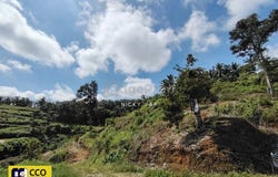 Kuala Kangsar, Perak 31100