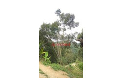Bentong, Pahang 28700