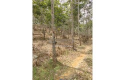 Bentong, Pahang 28700