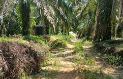 Hulu Selangor, Selangor 35900