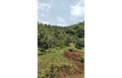 Karak, Pahang 28600