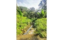 Kampar, Perak 0
