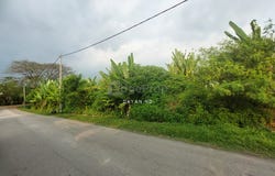 Jalan Golf; Jalan Cempaka, Bangi, Selangor 43650