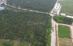 Pekan Nanas, Johor 81500