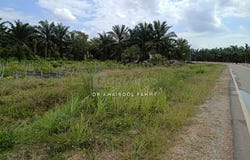 Bukit Nyamuk Simpang Renggam, Kluang, Johor 86200
