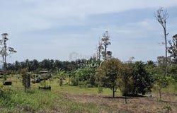 Semenyih, Selangor