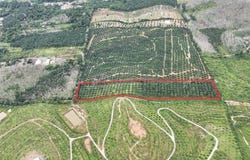 Bentong, Pahang 28740
