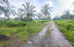 Banting, Selangor 42700