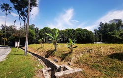 J, Bangsar, Kuala Lumpur 59100