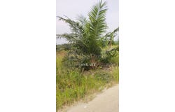 Batang Padang, Slim River, Perak 35000