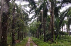 Hulu Langat, Selangor 43100
