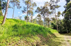 Bentong, Pahang 28750
