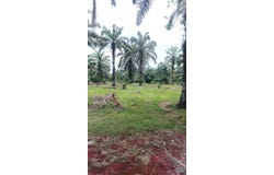 Jenjarom, Selangor 42600