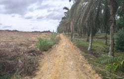 Senai, Johor 81400