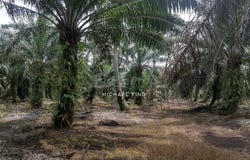 Pontian, Johor 82300