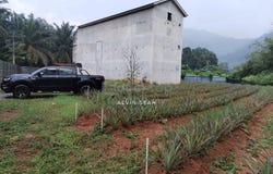 Taiping, Perak 34000
