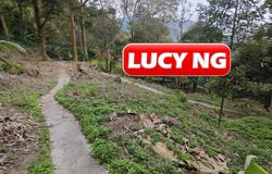 Balik Pulau, Penang 11000