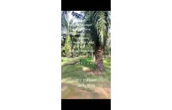 Telok Panglima Garang, Selangor 42500