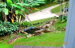 Jalan Kampung, Bentong, Pahang 28750