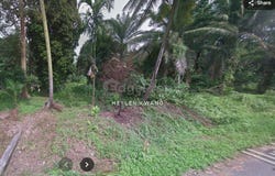 Pulau Carey, Selangor