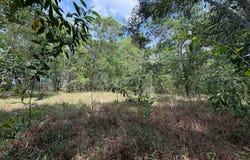 Dungun, Terengganu 23100