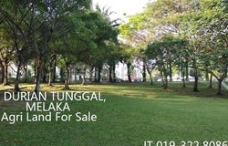Durian Tunggal, Melaka 75450