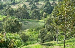 Raub, Pahang 26700