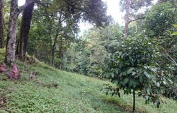 B, Hulu Langat, Selangor 43100